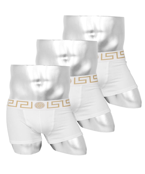 ヴェルサーチェ VERSACE 【3枚セット】NEWCLIENT BDG ITALY メンズ ボクサーパンツ OUTLET SALE_F cts